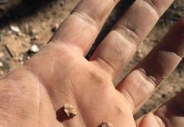 25550628_1974087359526680_1475539376126071230_n