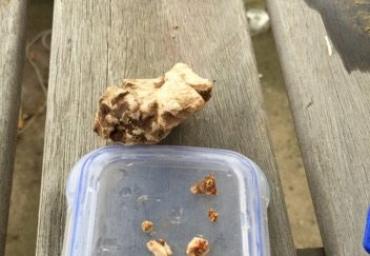 25552030_1974087462860003_7308918555448641047_n