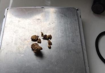 25659605_1974087272860022_2795978013061683321_n